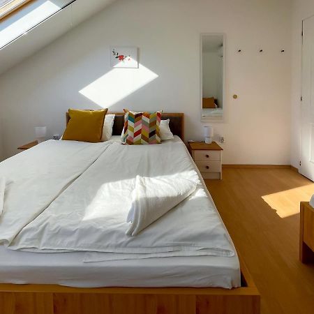 바야 Tanyacsarda Panzio B&B 외부 사진